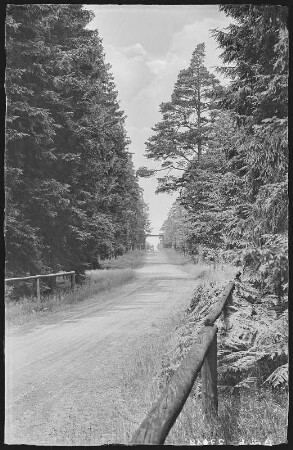 Herrndorf. Schneise 16