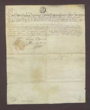 Kurfürst Karl Theodor von der Pfalz überträgt Jörg Striel zu Neckarau aufgrund der Bestimmungen des Haupterblehnbriefs die von demselben ererbten 3 Morgen am dortigen Bauerschaftsgut .