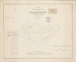 Plan über den Gemeinde-Wald von Ballenberg auf dortiger Gemarkung