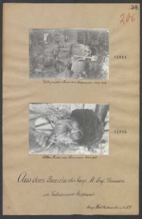In Galizien und Rußland: Alter Russe aus Kreczewicze 30.08.1916