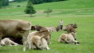 Wurzeln des Überlebens