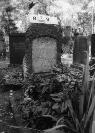 Grabstein 819