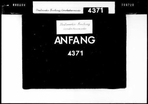 Motorbootüberfahrt zwischen Radolfzell und Iznang