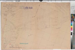 Neuenkirchen (Neuenkirchen), Umlegung Neuenkirchen, Schätzungsriß Flur 19