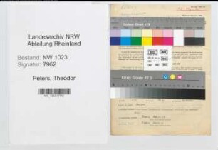 Entnazifizierung Theodor Peters , geb. 06.08.1902 (Anstreicher)