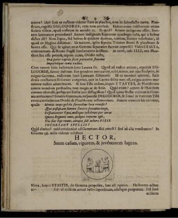 Hector, Suum casum, vigorem, & iuventutem lugens