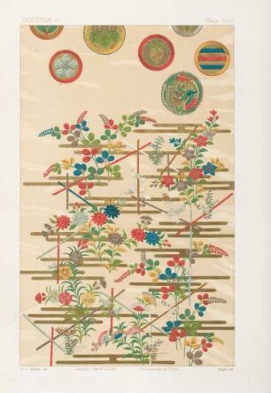 Plate VIII.