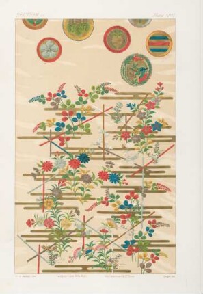 Plate VIII.