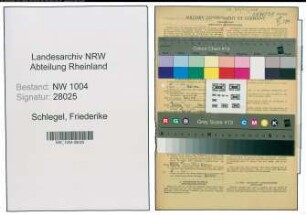 Entnazifizierung Friederike Schlegel , geb. 14.03.1876 ()