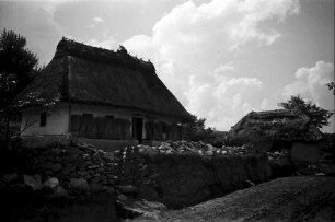 Nepotrowo Poarta Neagra: Ukrainisches Bauernhaus, Haus mit Korngarben