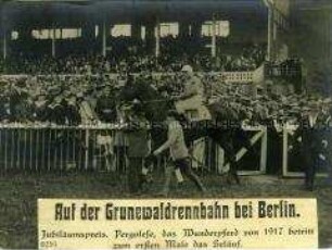 Reiter auf der Grunewaldrennbahn