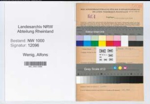 Entnazifizierung Alfons Wenig, geb. 06.06.1906 (Wirtschaftspruefer)