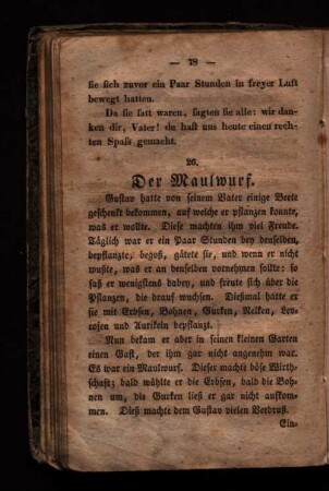 26. Der Maulwurf.