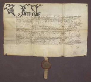 Petrus de Lapide, bischöflich-speyerischer Generalvikar ertheilt Indulgenz für die Kollegiatkirche zu Baden, eigene Exekutoren anzustellen