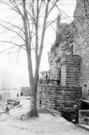 Fleckenstein: Burgruine Fleckenstein, Baum rechts, Treppenaufgang