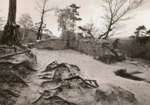 Elbsandsteingebirge. Winterstein (Hinteres Raubschloss). Mauerreste der ehemaligen Burg. Rechts Abzug der darunter befindlichen Höhle