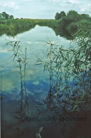 Brenner Moor: Trave
