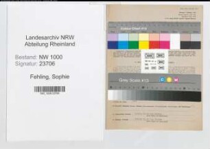 Entnazifizierung Sophie Fehling, geb. 09.04.1913 ()
