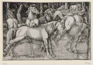Hengst und abschlagende Stute inmitten von Wildpferden, Blatt 3 der Folge "Gruppe von Wildpferden im Walde"