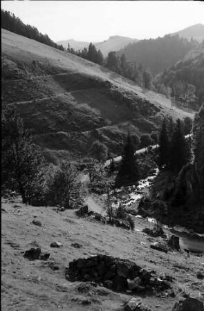Stohren im Münstertal mit Straße und Fluss