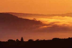 Frankreich. Bourgogne. Saone et Loire. Mont Saint Vincent. Landschaften, Landschaft im Morgennebel