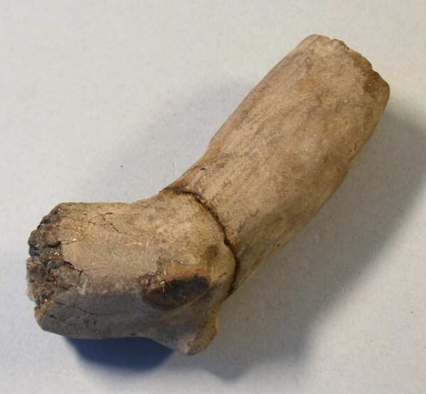 Pipe à tabac (fragment)