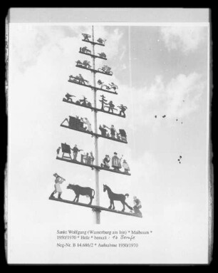Maibaum
