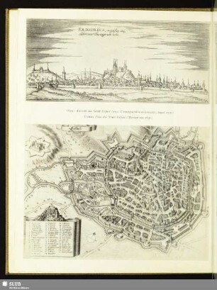 Ansicht der Stadt Erfurt (aus: Cosmographia universalis, Basel 1552)