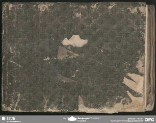 Nina - Mus.3481-F-513 : RobP 1.78
