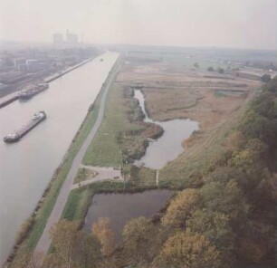 Feuchtbiotop Mecklenheide/Mittellandkanal