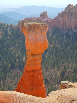 Sandsteinfelsen im Bryce Canyon Nationalpark : Von zahlreichen Aussichtspunkten können Besucher im Bryce Canyon Nationalpark die unterschiedlichen Sandsteinformationen und Felsnadeln, so genannte "Hoodoos", betrachten. Aufgenommen am 18. August 2012