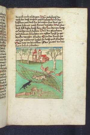 Die Katze im Netz, das die Maus zerbeißt; (Kapitel VIII: Von der Katze und der Maus).