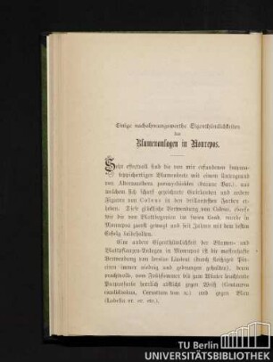 6. Einige nachahmungswerthe Eigenthümlichkeiten der Blumenanlagen in Monrepos.