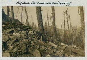 Foto eines zerstörten Geländes am Hartmannsweilerkopf