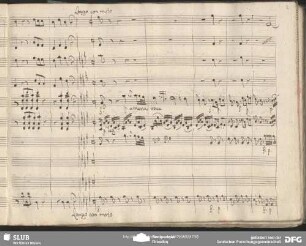 Cavatina: "Cara Patria ah vieni mai"