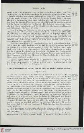 4: Der Gelenkapparat des Beckens und der Hüfte als passiver Bewegungsfaktor