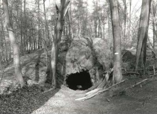 Moritzburg. Hohe Burg. Tunnel im Jagdforst (Neuer Tiergarten) (1727). Eingang