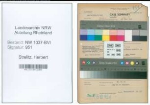 Entnazifizierung Herbert Strelitz , geb. 18.06.1903 (Verw.Angestellter)
