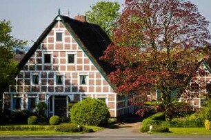 Deutschland. Niedersachsen. Wisch. Reetgedeckter Fachwerkhof
