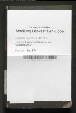Konzept des Salbuchs des Amtes Horn von 1854, Bd. 2