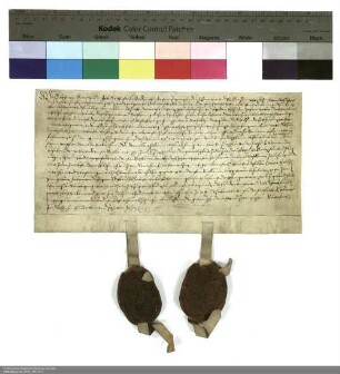 Balthasar [von Dernbach], Inhaber der Propstei Petersberg, Vizedechant Valentin Faber und der Konvent von Petersberg verleihen Johann Weber eine Wiese in Melzdorf
