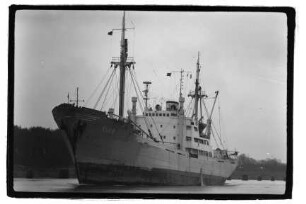 Elbe (1953), VEB Deutsche Seereederei, VEB Deutfracht, VEB Deutfracht - Seereederei Rostock (DSR), Deutsche Seereederei GmbH, Rostock