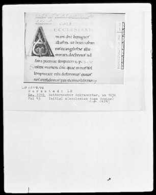 Sakramentar mit eingearbeitetem Graduale — Initiale A (cclesiam tuam domine), Folio 43recto