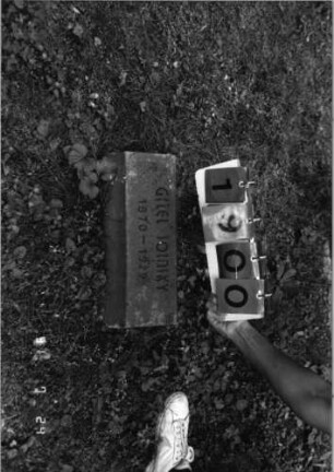 Grabstein 1900 [Hahn S. 199 Grab-Nr. 2767]