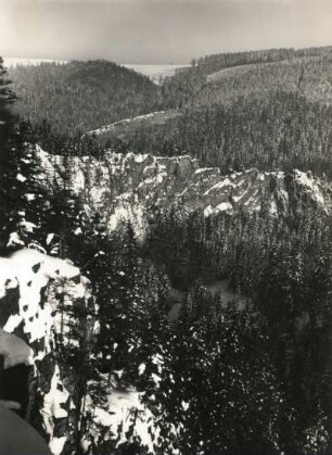 Tal der schwarzen Pockau. Flussschlinge mit der "Ringmauer" (Muskowitgneis). Blick vom Raubschloss von Südwesten