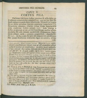 Caput V. Cortex Pili