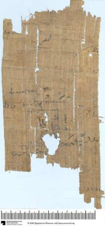 Papyrus mit einer demotischen Erzählung
