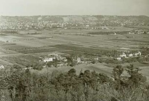 Cossebaude