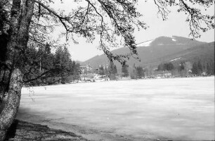 Titisee: Tauendes Eis auf dem Titisee