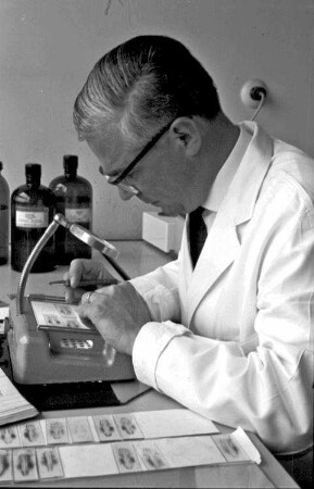Freiburg: Hygieneinstitut; Prof. Hummel; bei Serumsuntersuchungen